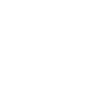 Talents vision